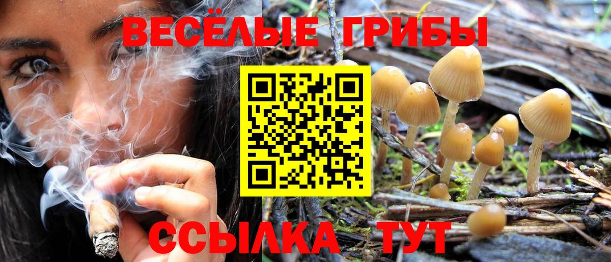 Чайковский  Псилоцибиновые грибы мицелий  Вход с VPN  Галлюциногенные грибы ЛСД 