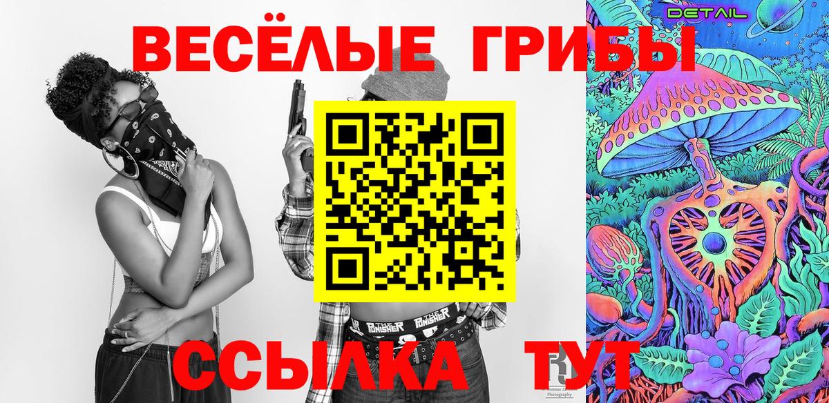 Галлюциногенные грибы MAGIC MUSHROOMS Чайковский